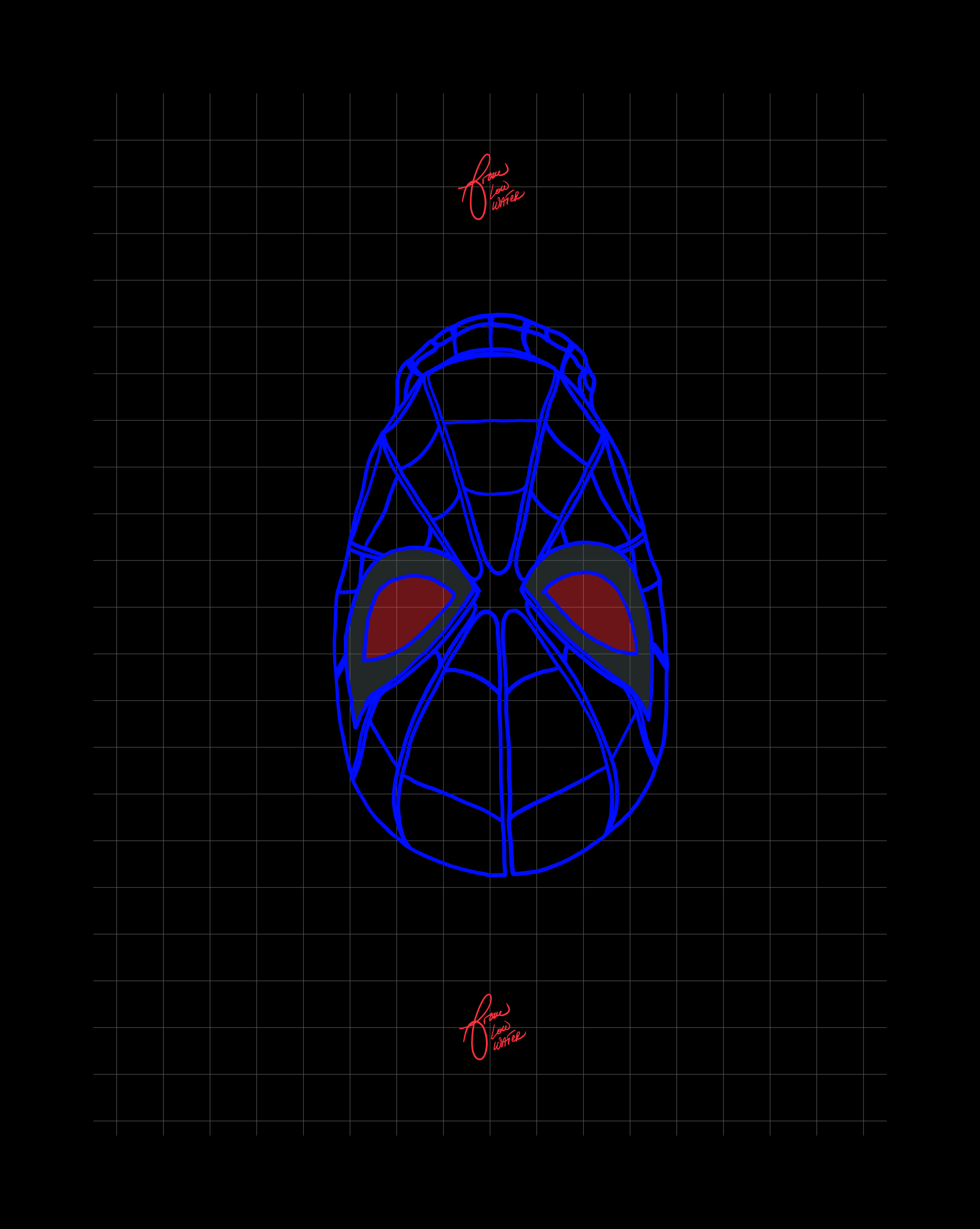 SPIDER-MAN 🕷️